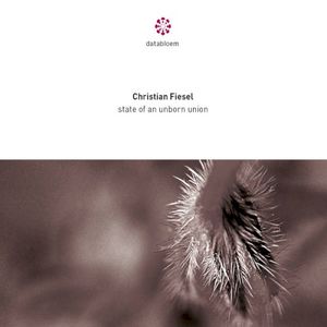 State of an unborn union