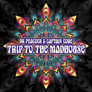 Trip to the Madhouse (Single)