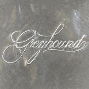Greyhound
