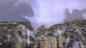 Contemplate the Plate Tectonic (Single)