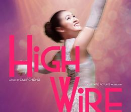 image-https://media.senscritique.com/media/000023295081/0/high_wire.jpg