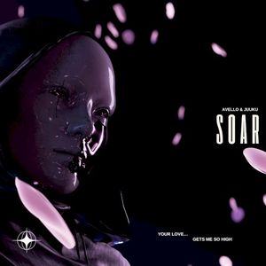 Soar (Single)
