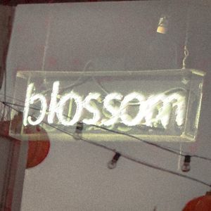 blossom (Single)