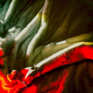 Where Are U Now (Single)