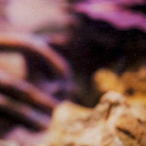 Inner Funk (EP)