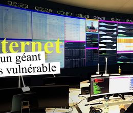 image-https://media.senscritique.com/media/000023296179/0/internet_un_geant_tres_vulnerable.jpg
