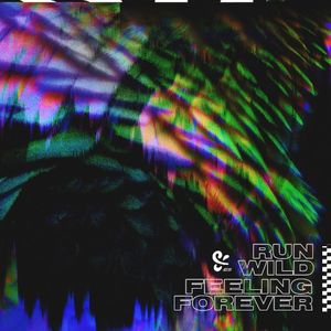 Run Wild / Feeling Forever (Single)