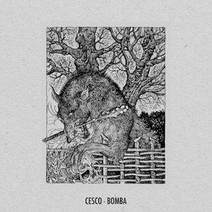 Bomba (Single)