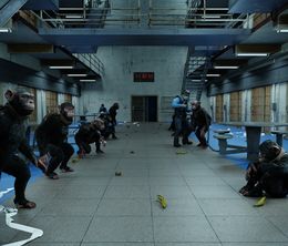 image-https://media.senscritique.com/media/000023296867/0/monkey_testing.jpg