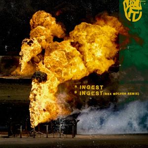 Ingest (Single)