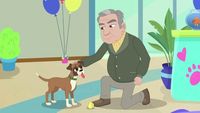 Pet Matchmaker