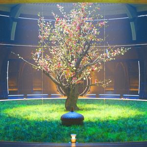 Nut Manifold 6 (Single)