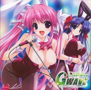 GWAVE 2008 1st Experience