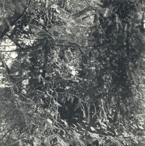 Kathy Revisited (Single)