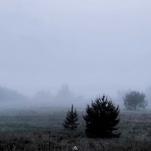Подарки (Single)