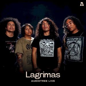 Lagrimas on Audiotree Live (Live)