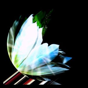 DiPT / Tulpa (Single)