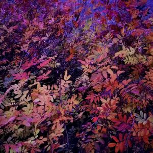 Void / Matter (Single)