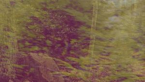 Area Does Not Exist (Single)