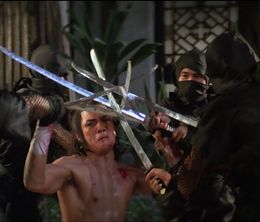 image-https://media.senscritique.com/media/000023307838/0/five_element_ninjas.jpg