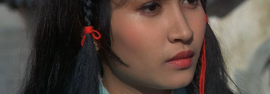 Cover Five Element Ninjas