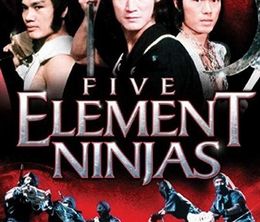 image-https://media.senscritique.com/media/000023307845/0/five_element_ninjas.jpg