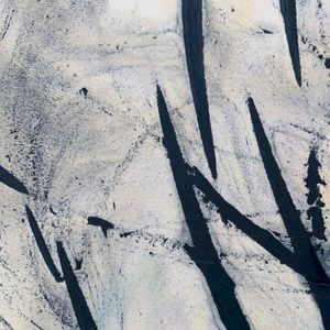 Disguise for Discovery