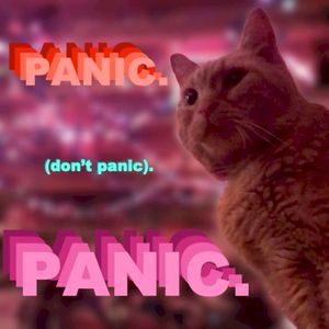 Panic. (Don't Panic). Panic. (Single)