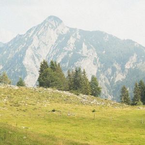 Green Fields (Single)