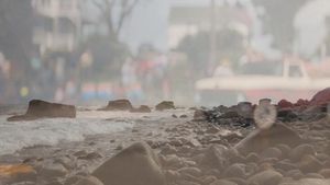 Parade Float Electronics (Single)