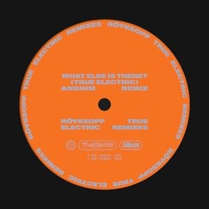 What Else Is There? (andhim extended remix)