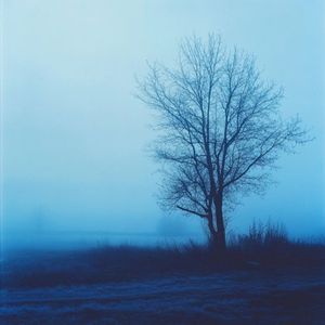 last winter (Single)