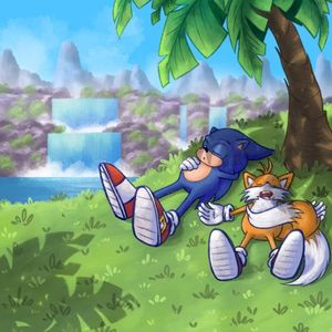 Sonic & Sleep