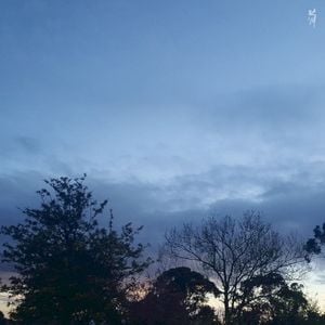 Savour (Single)