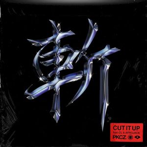 CUT IT UP (Single)