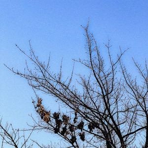 internal serenity (Single)