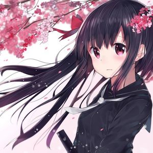 Sakura (Single)