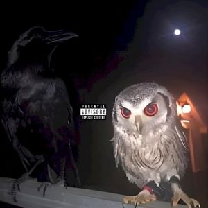 pt tape (Single)