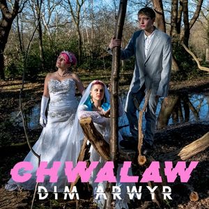 Dim Arwyr (Single)