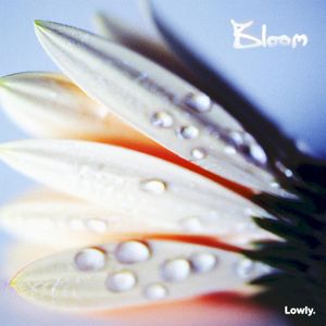 Bloom (Single)