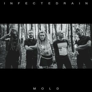 Mold (Single)