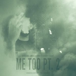 Me Too, Pt. 2 (Single)