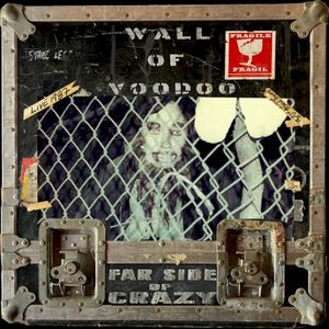 Far Side of Crazy (Single)