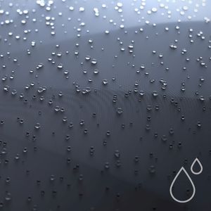 Parasol (Single)