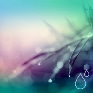 Overcast (Single)