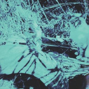 夢のような日々 (Single)