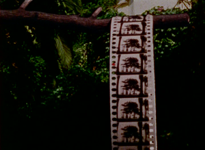 Foregrounds