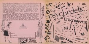 The Psychedelic Unknowns Vol. 2