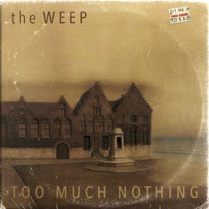 Too Much Nothing