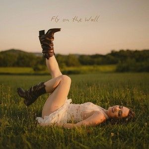 Fly on the Wall (Single)